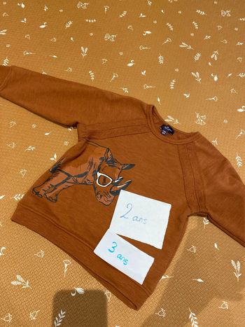 Sweat rhinocéros 2/3 ans