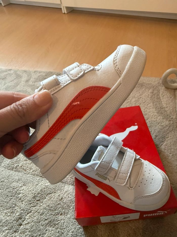 Superbes baskets puma - photo numéro 6