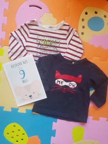 Lot 2 tee shirt 9 mois
