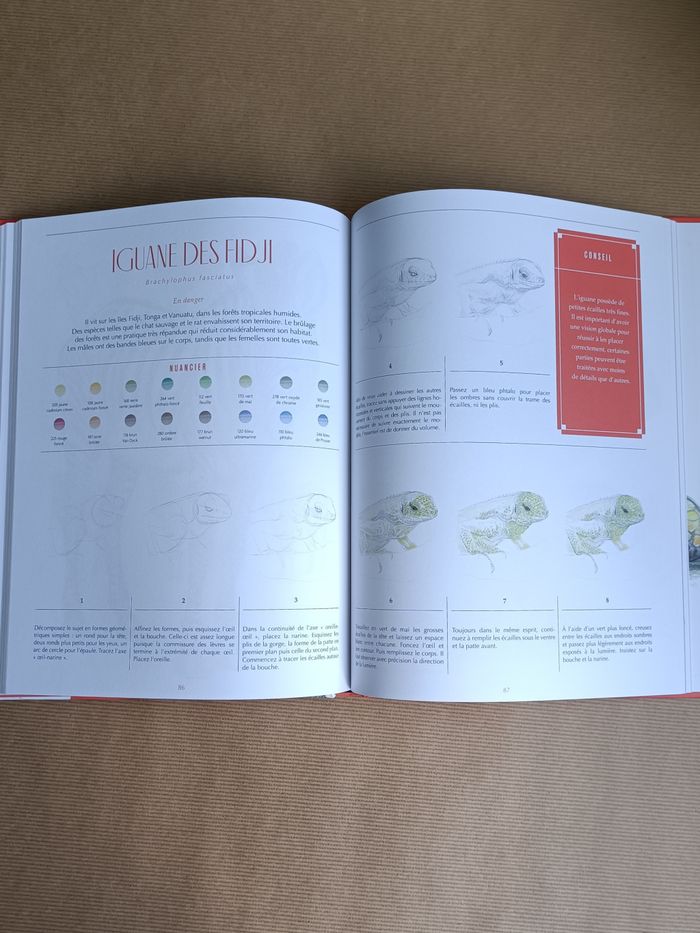 livre animaux à sauver NEUF - photo numéro 5