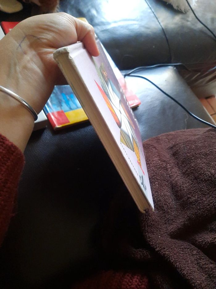 Manuelle scolaire allemand pr d - photo numéro 3