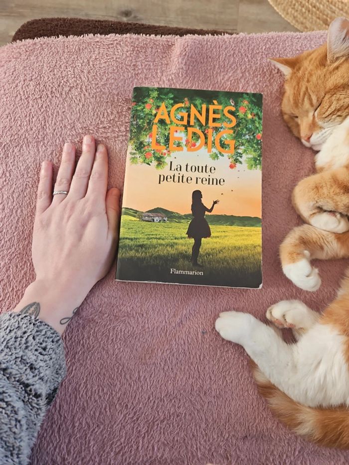 Livre - photo numéro 2