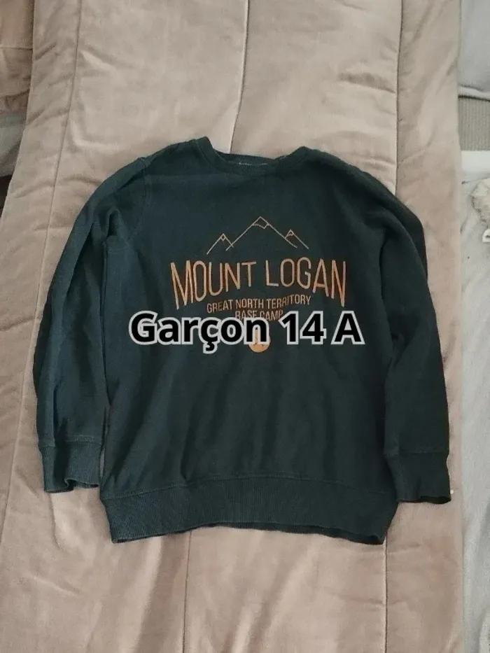 Suite sans capuche la Redoute vert sapin garçon 14 ans - photo numéro 7