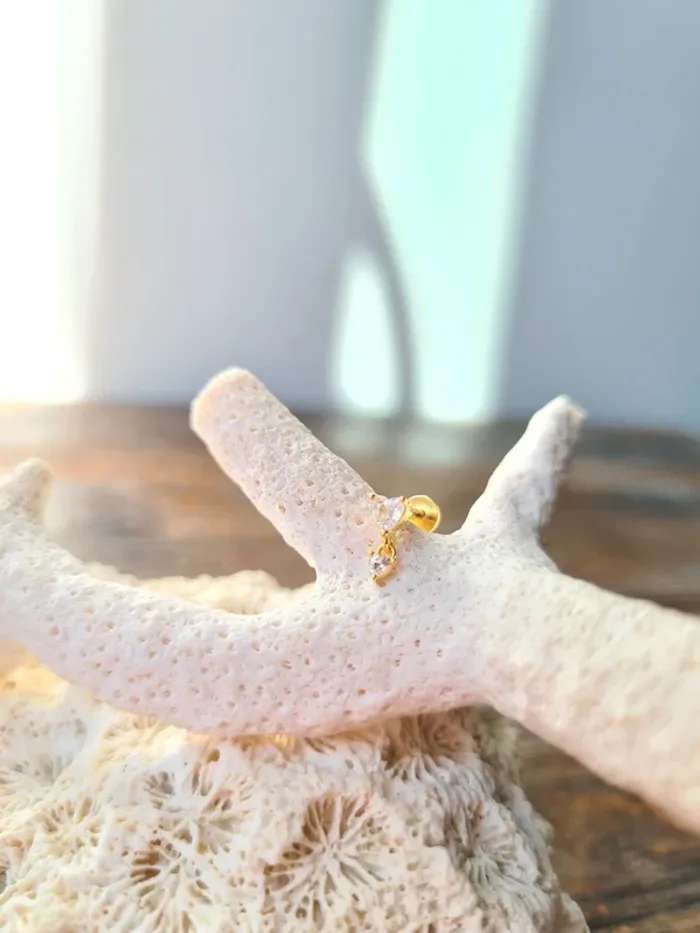 Superbe piercing atelier d'amaya - photo numéro 4