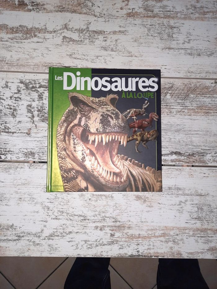 Livre Les dinosaures à la loupe - photo numéro 3