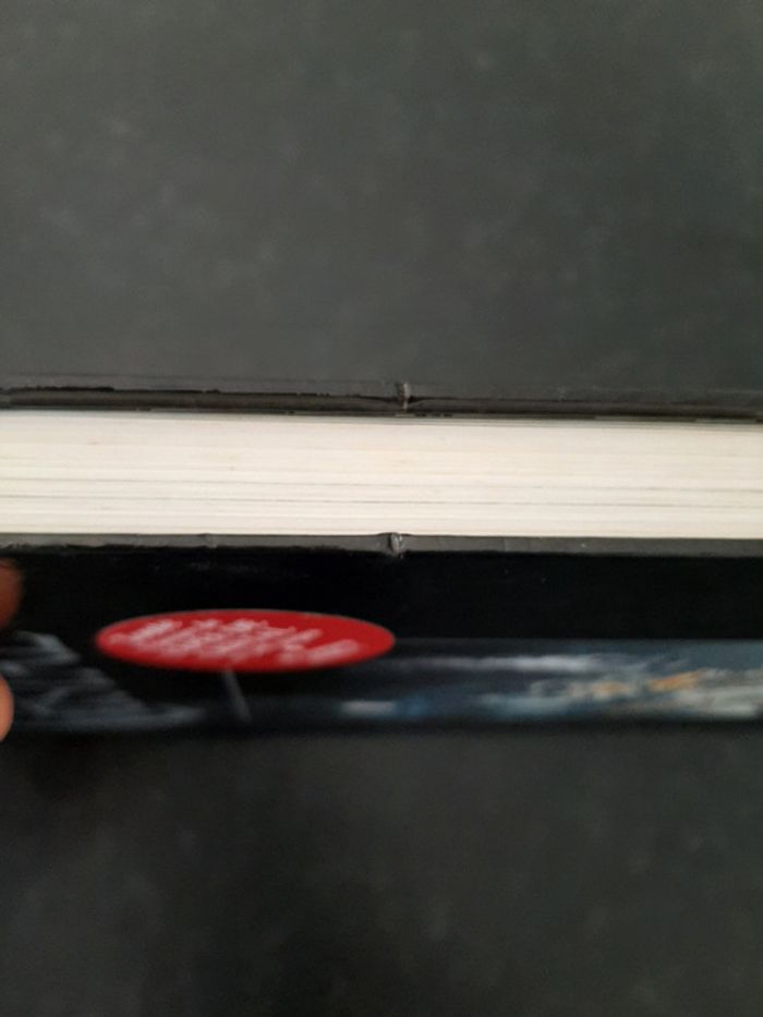 BD intégrale L'épée de cristal - Goupil, Crisse - EO - photo numéro 6