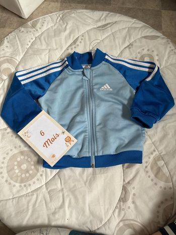 veste