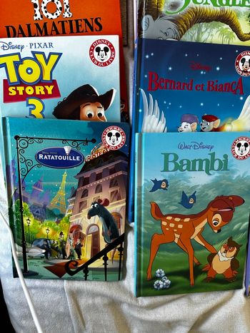 Lot 27 livres Disney