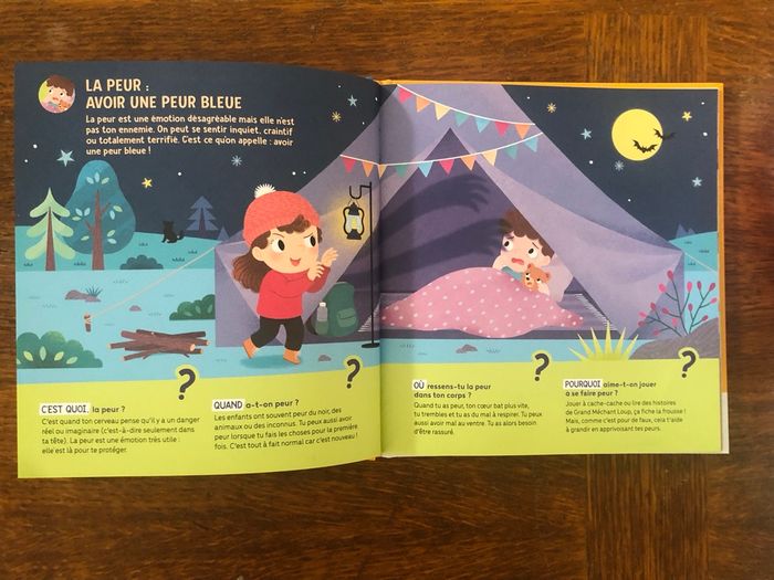 Livre les émotions dès 3 ans Fleurus - photo numéro 3
