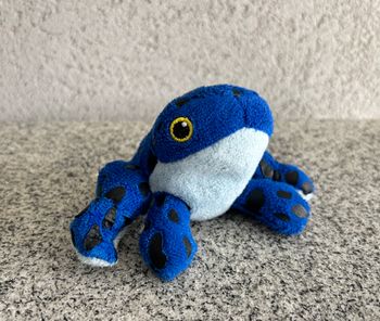 grenouille bleue