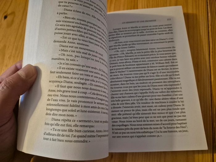 Roman "Anne la Maison aux pignons verts" - photo numéro 3