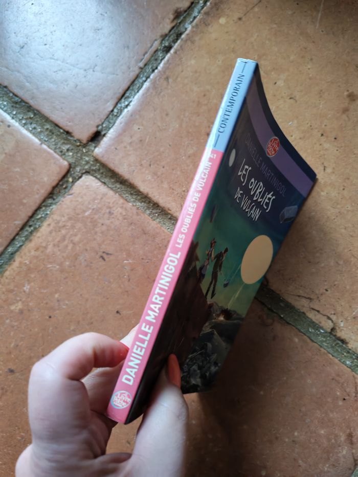 Les oubliés de vulcain, livre de Danielle Martinigol - photo numéro 6