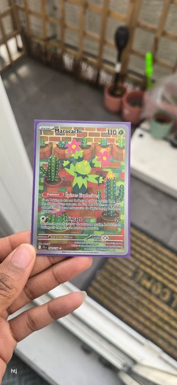 Lots cartes Pokémon