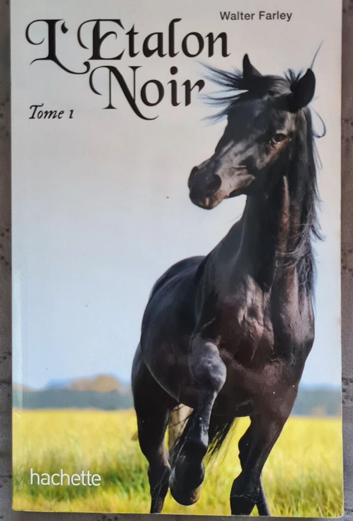 Roman L'étalon noir