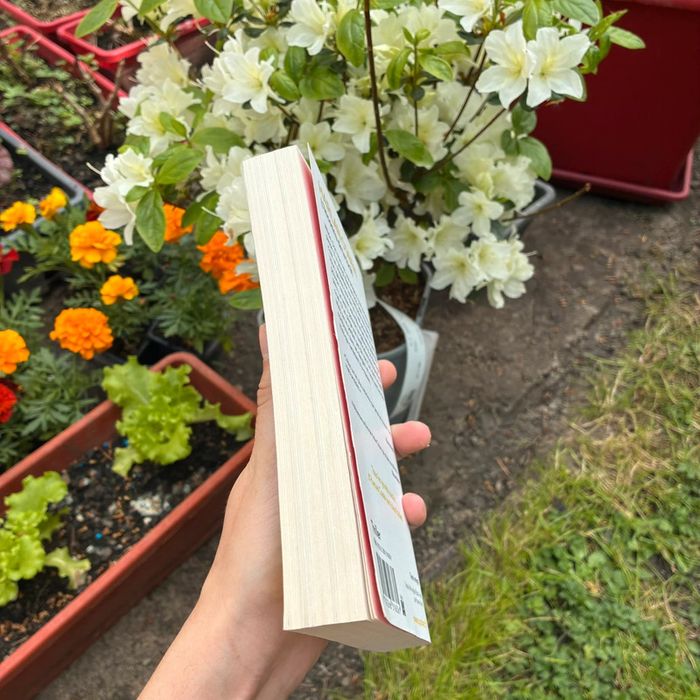 Harlan Coben - L’inconnu de la forêt. - photo numéro 3