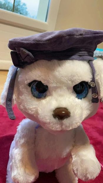 Chapeau 41 fille orchestra