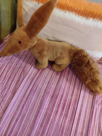 Doudou fennec petit prince