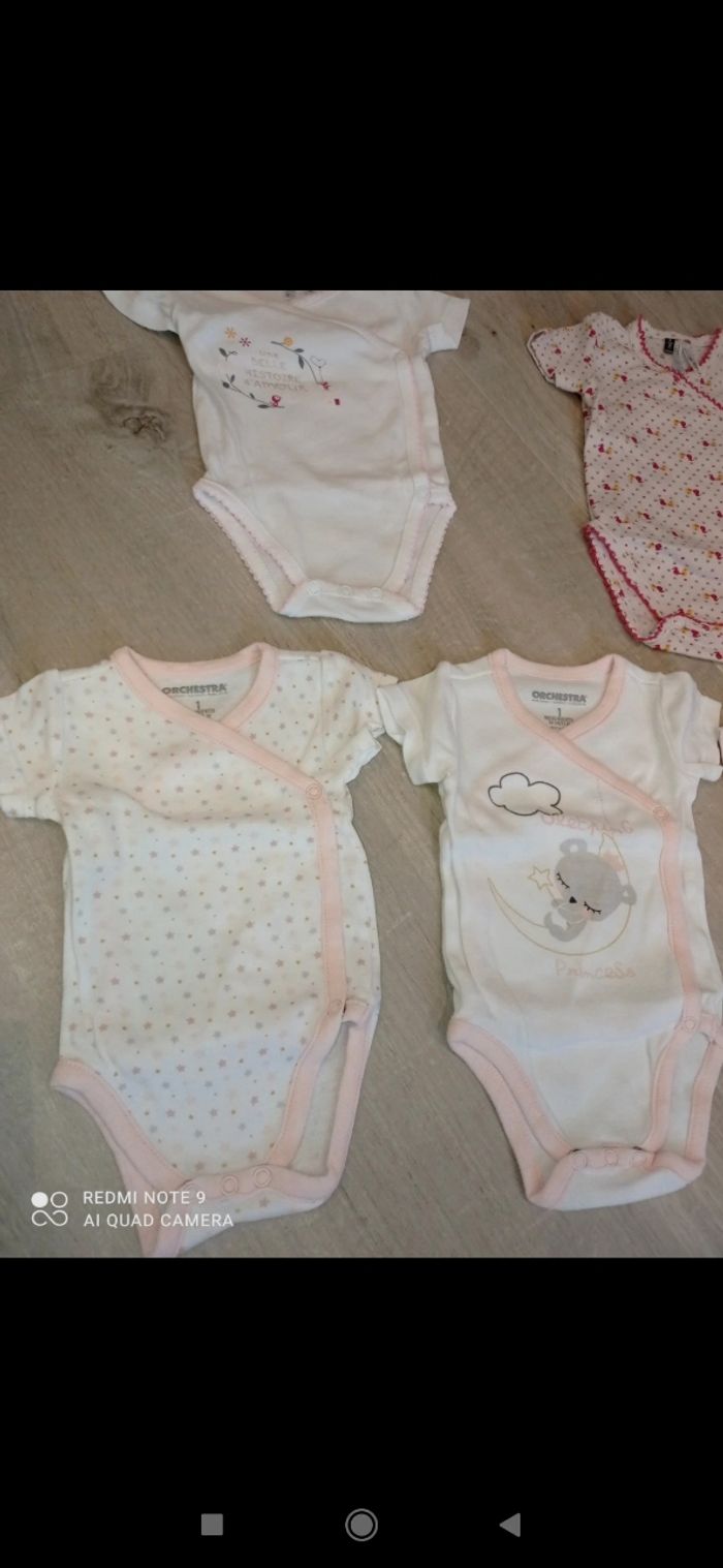 Lot de 5 bodys - photo numéro 2