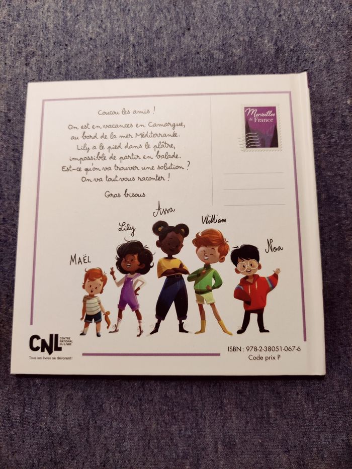 Une carriole dans la camargue - photo numéro 2