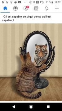 profil