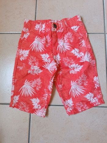 Bermuda orange tropical Orchestra 4 ans