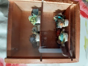 fèves poissons en boîte fermeture plexiglas 10 pièces