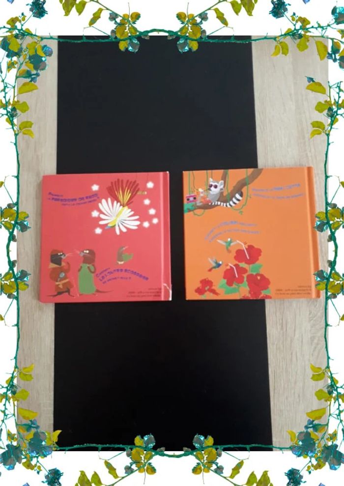 Lot 2 livres mac do - photo numéro 2