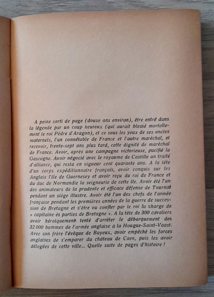 le chevalier au vert lion - Paul bertrand de la glassière - photo numéro 10