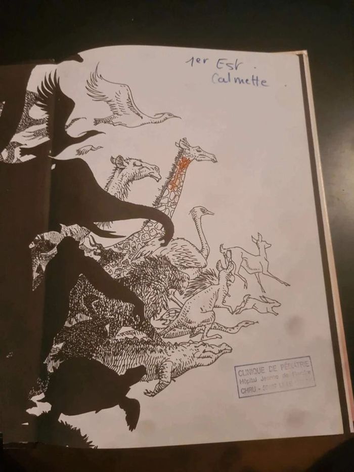 Bd hermann hé, nic! Tu rêves? EO 1981 - photo numéro 7