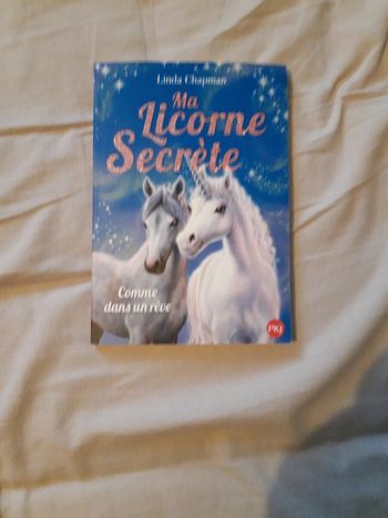 Ma licorne secrète tome 2