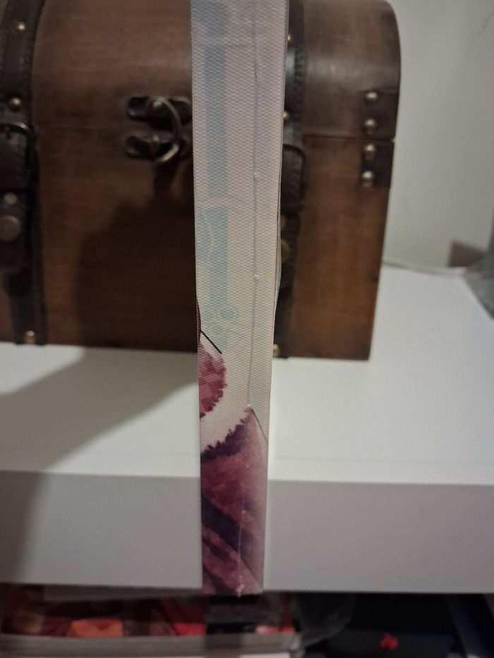 de l'Apothicaire tome 10 collector édition limitée - photo numéro 3