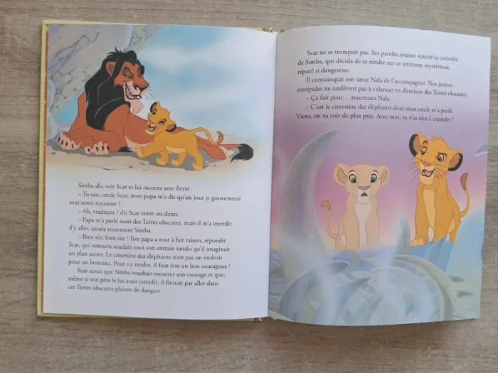 Livre le roi lion Disney - photo numéro 3