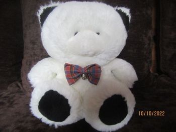 nounours blanc