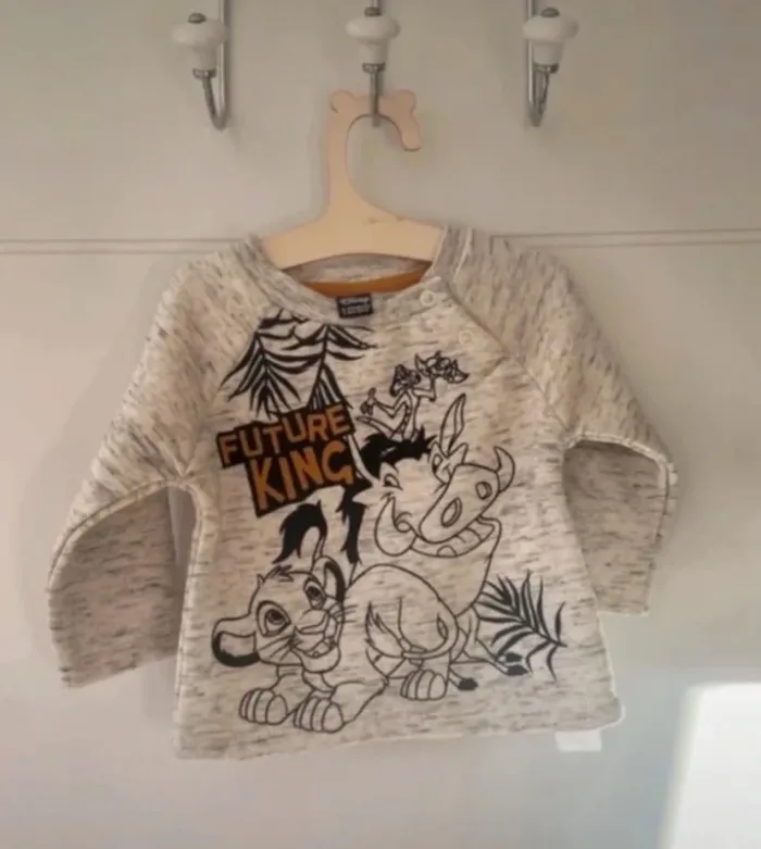Pull Roi lion DISNEY
