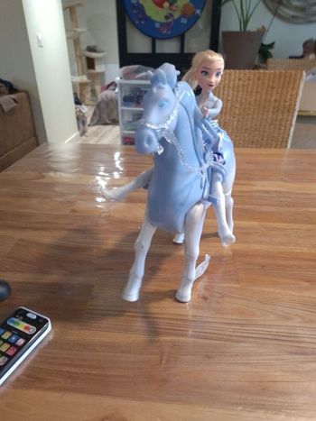 Elsa et nokk qui marche et nage