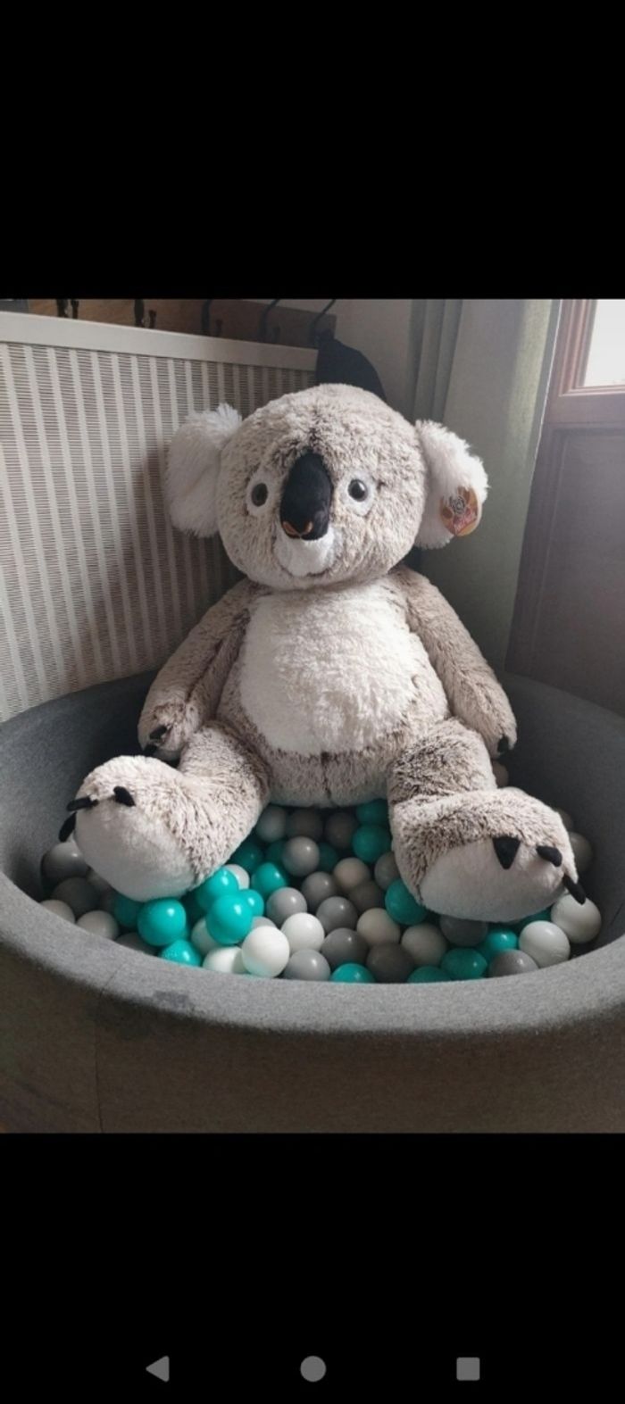 Koala xl peluche