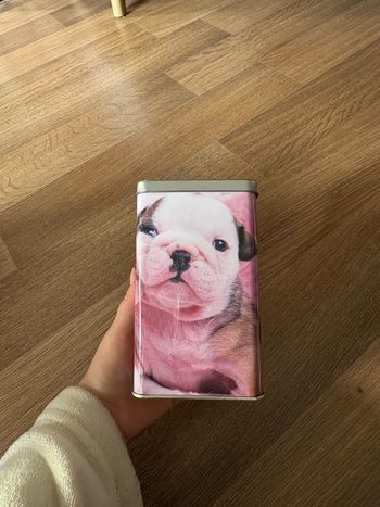 boîte bouledogues