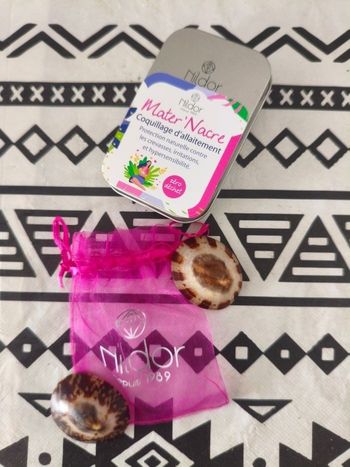 Coquillages allaitement