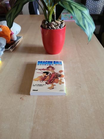 Dragon ball tome 2 les Dragon ball sont en danger