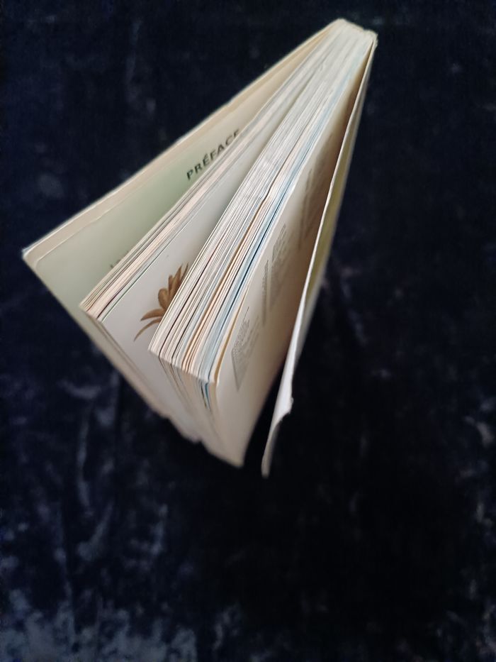 Petit guide flore et faune européennes Hachette - photo numéro 9