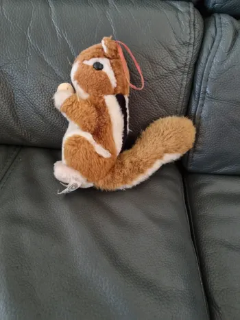 Écureuil en peluche