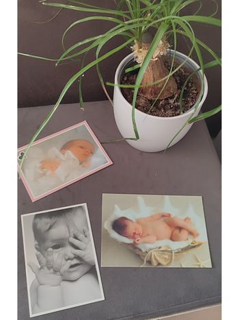 Lot de 3 cartes postales