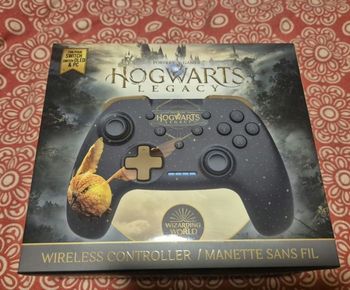 Manette Switch Hogwarts Legacy