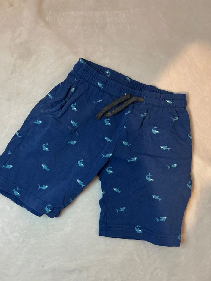 Short requin - photo numéro 3
