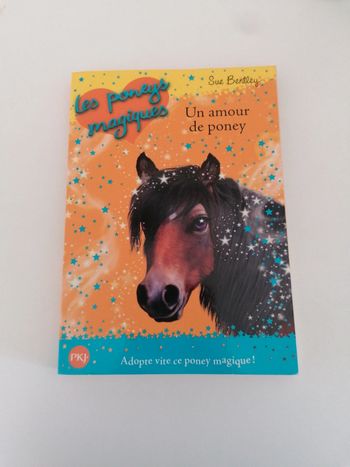 Les poney magiques : Un amour de poney
