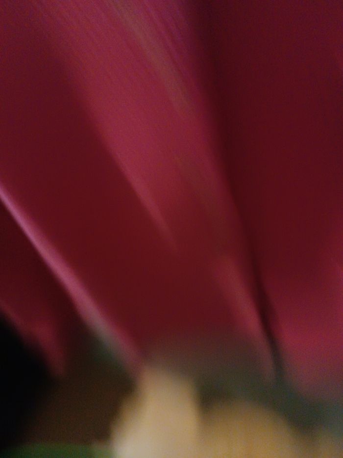 Gilet rose - photo numéro 2