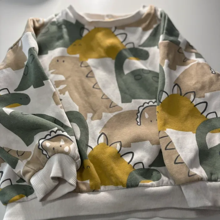 Pull dinosaures tape à l’œil