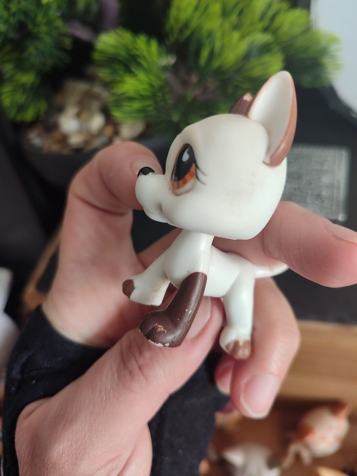 Littlest Petshop Pet Shop LPS Authentic  Authentique dog Great Dane 750 Danois - photo numéro 10