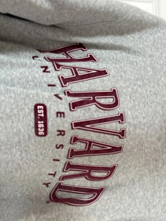 Sweat à capuche - photo numéro 2