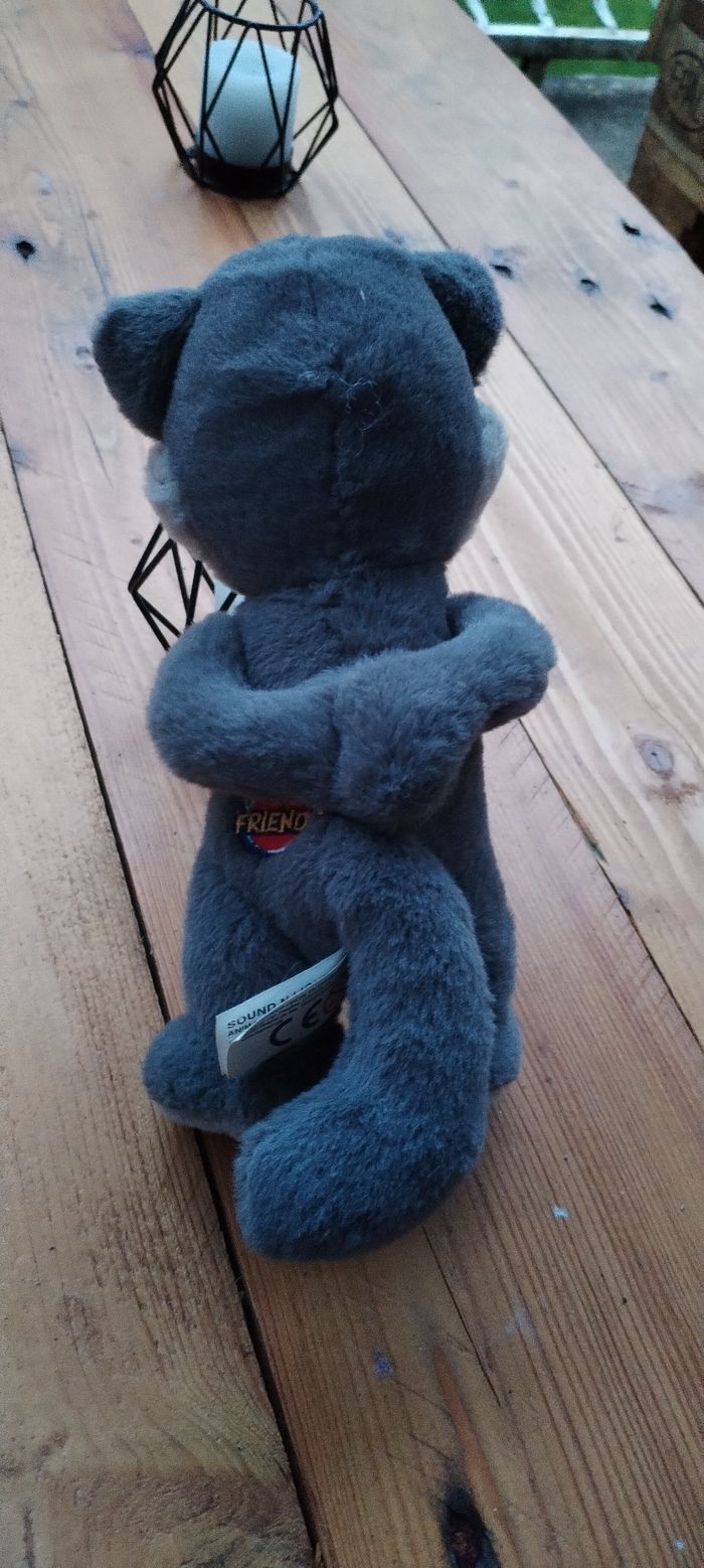 Peluche - photo numéro 2